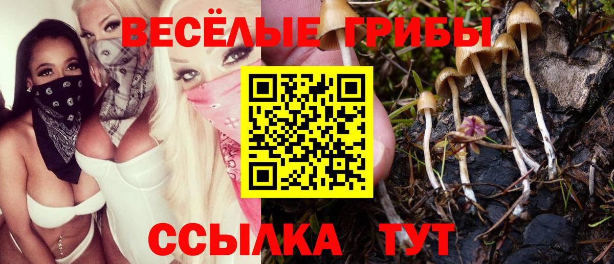 Междуреченск  Псилоцибиновые грибы Magic Shrooms  Псилоцибиновые грибы прущие грибы  Вход с VPN 